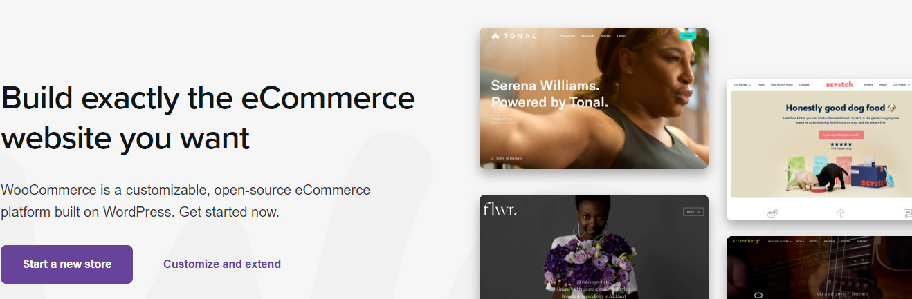 WooCommerce Wholesale eCommerce Platforms