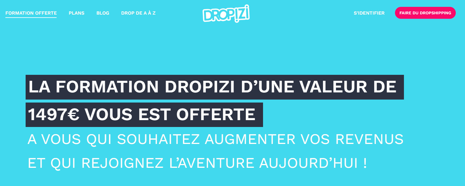 Dropizi dropshipping store