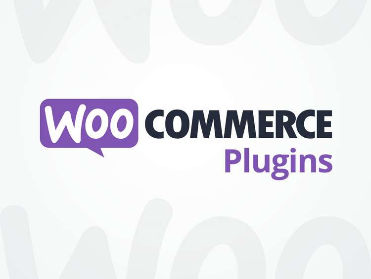 plugins best WooCommerce themes for dropshipping