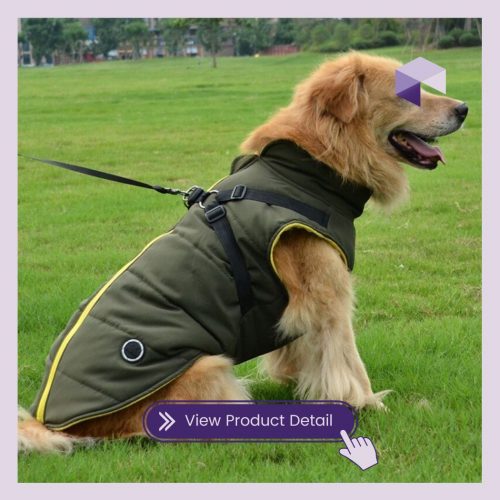 2 in 1 Harness Coat