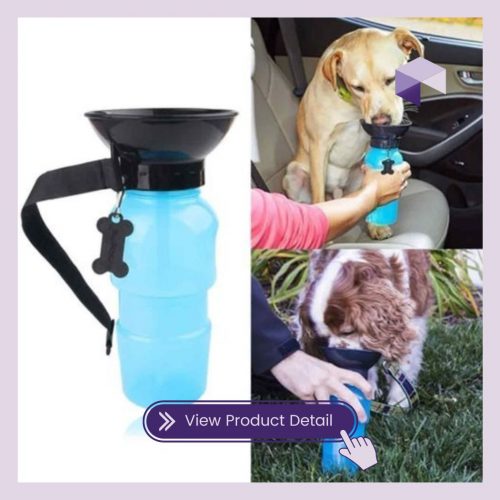 Best Pet Products to Dropship Portable Dog Water Bottle